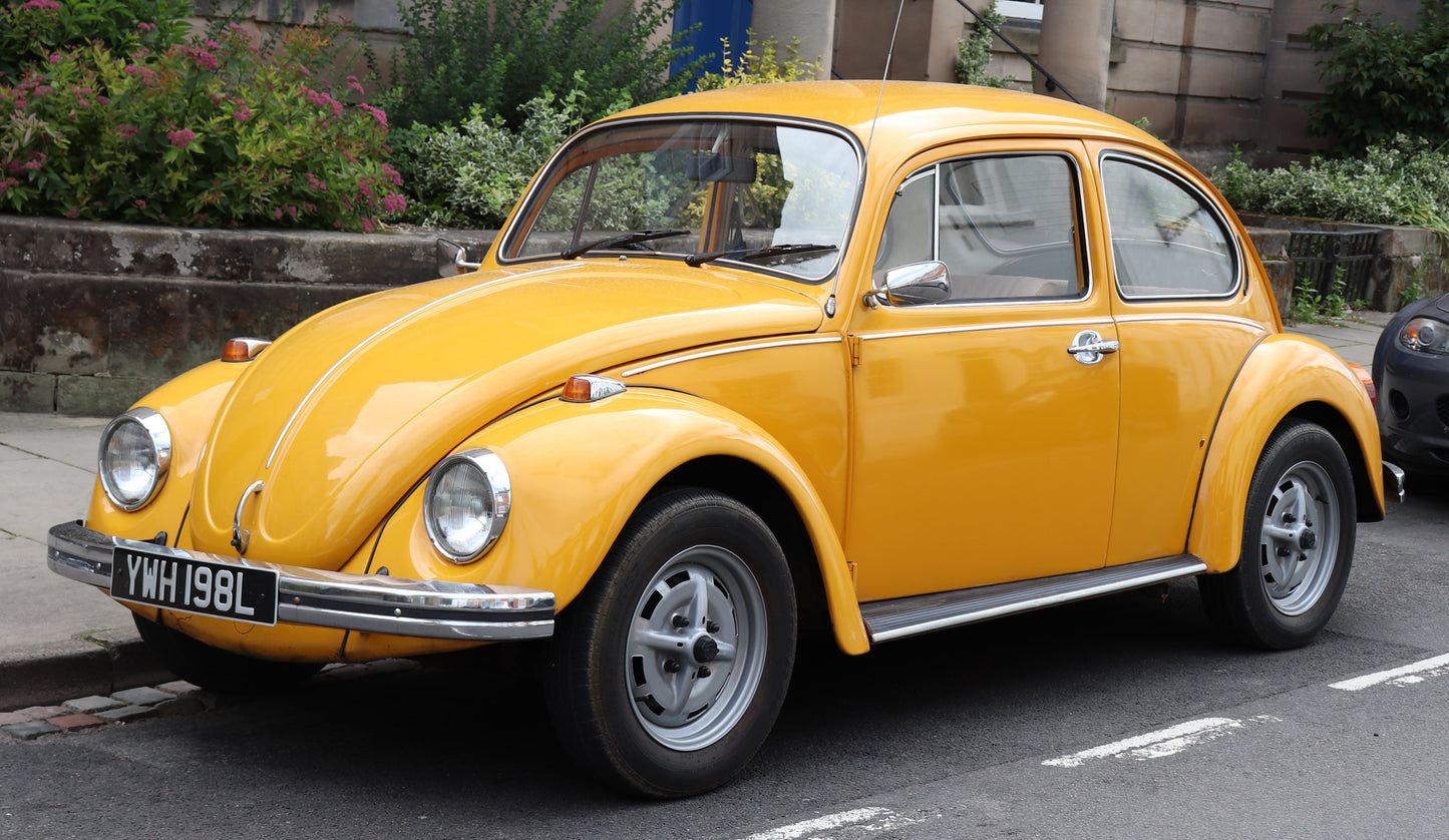 VW Beetle