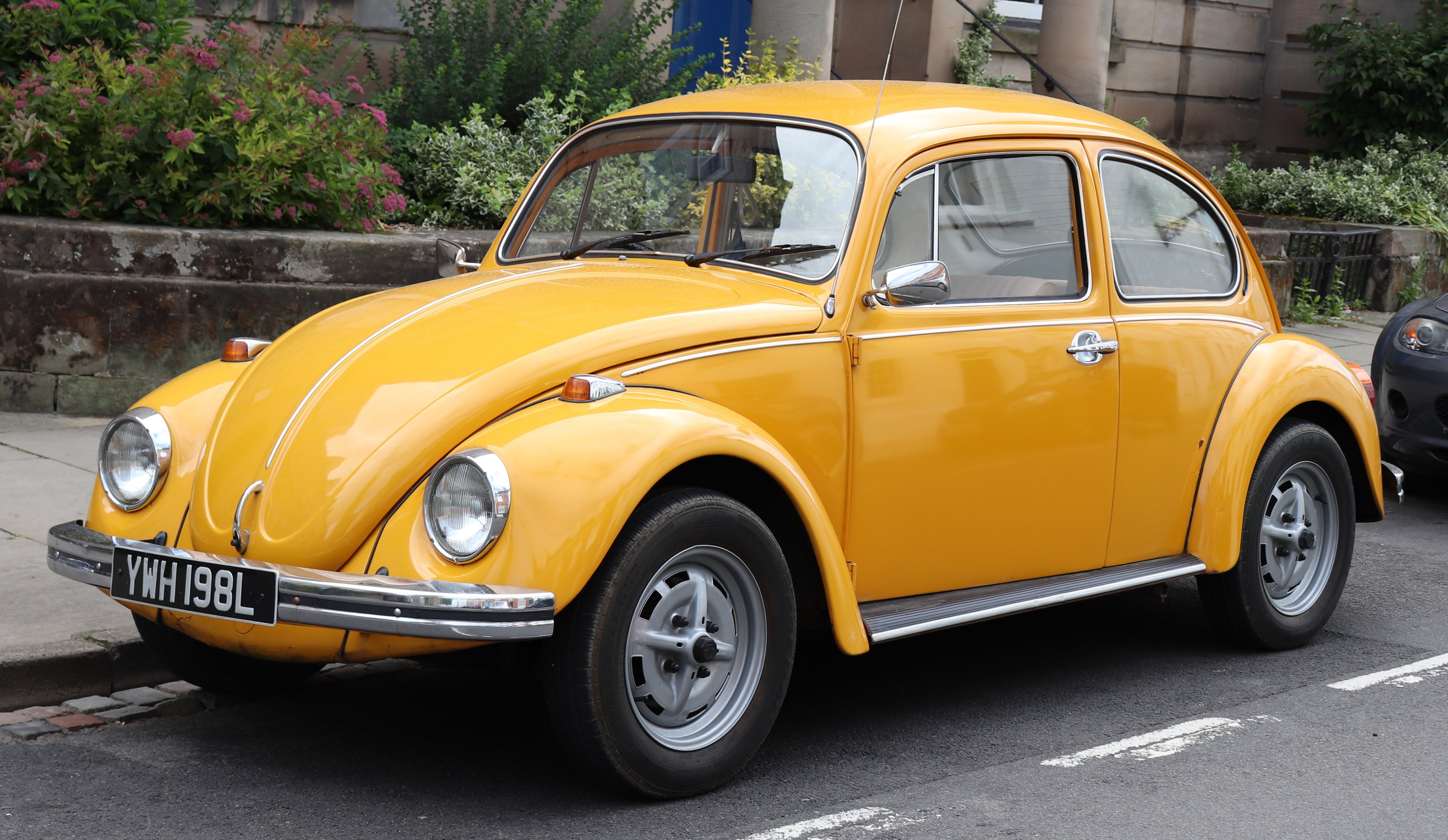 VW Beetle